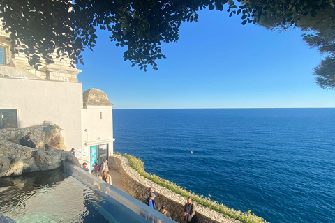 French Riviera: Private Tour of Monaco, Èze & Nice with Chauffeur Private 2-Hour Tour – Monaco or Nice Express