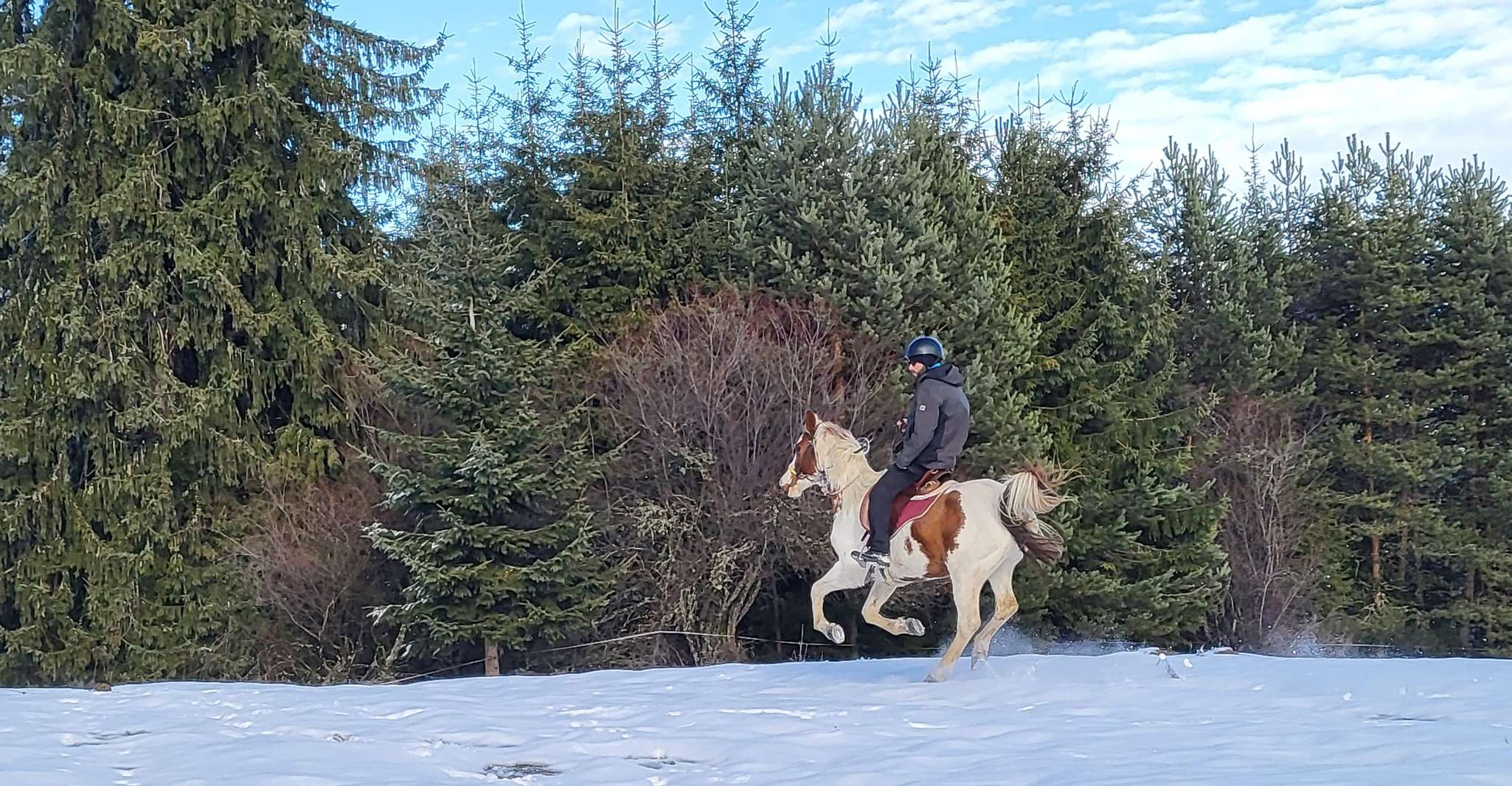 Horse Riding Day Trip in the Rila Mountain - Housity