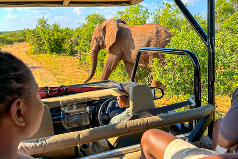 Cataratas Vitória: Passeio de carro pelo Parque Nacional do ZambezePasseio matinal de carro