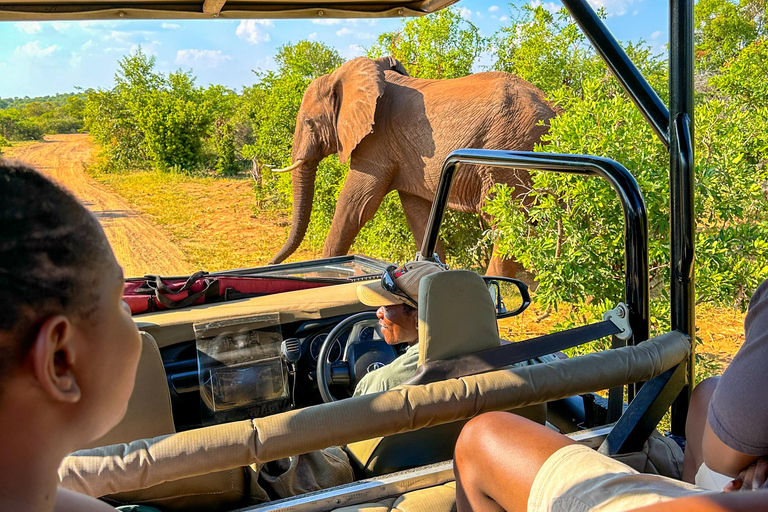 Cataratas Vitória: Passeio de carro pelo Parque Nacional do ZambezePasseio de carro à tarde