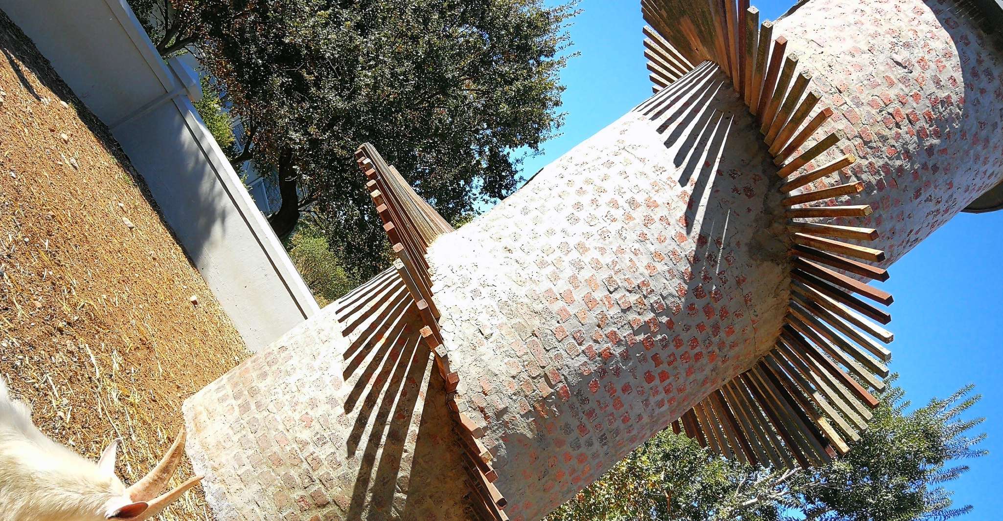 Cape Winelands Family Tour & Wildlife Encounter - Hizvo