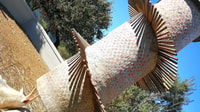 Cape Winelands Family Tour & Wildlife Encounter - Hizvo