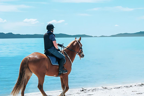 Antalya: Horseback Riding Tour with Hotel Pickup Transfer Excluded