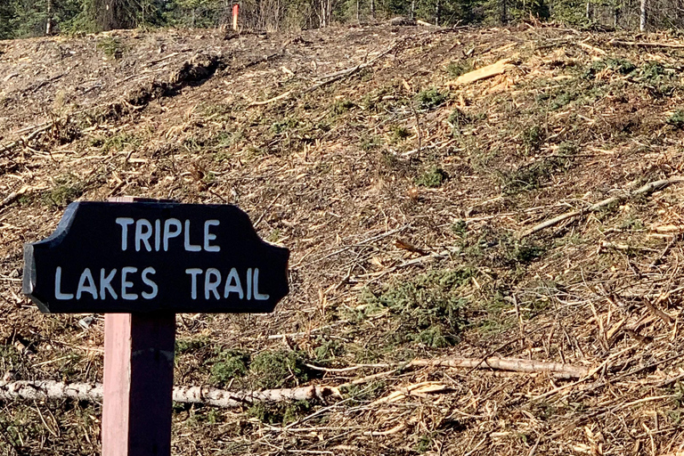 Denali National Park: Triple Lakes Trail Guided Hike