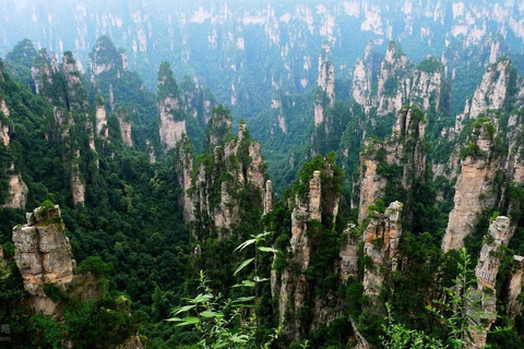 Zhangjiajie Glass Bridge | Spännande Skywalk-upplevelse