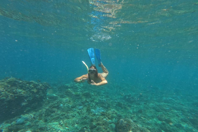 BFT Nusa Penida: Snorkeling to Manta Point &amp; Manta BayShare snorkeling group up 100 Pax