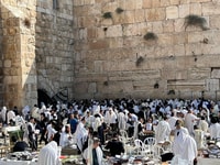 1- Day - Jerusalem Protestant Main sites. private. - Housity