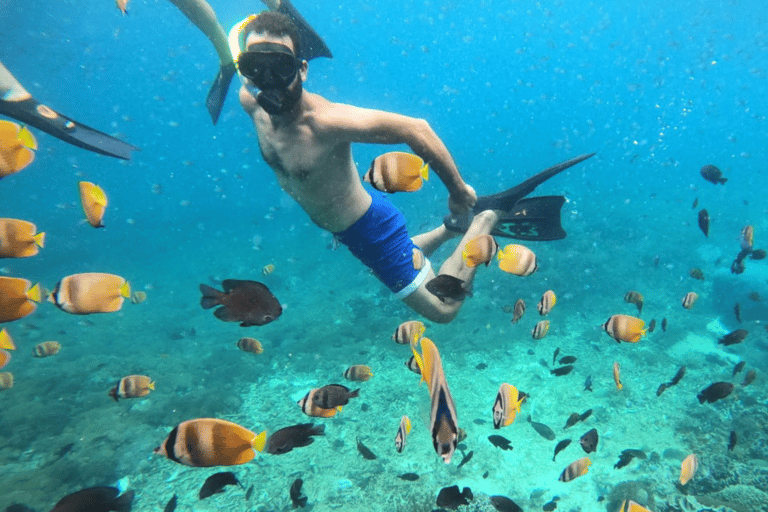 Vanuit Lembongan: Snorkelen 3 Spot Manta Bay, Gamat en MuurOchtendsessie