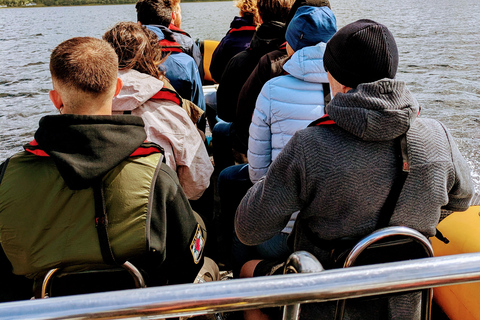 Fort William: 1hr Loch Safari Speedboat Tour