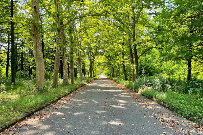 Excursión de un día desde Tiflis a Kutaisi y Tscaltubo