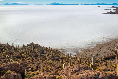 4 DAGEN 3 NACHTEN SAN PEDRO DE ATACAMA- UYUNI GEDEELD