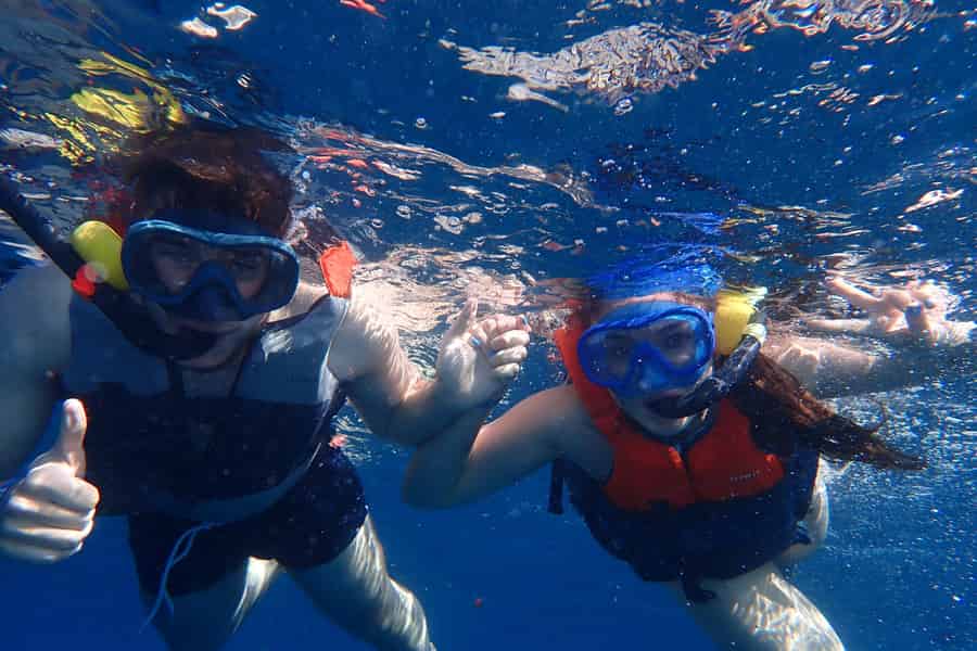 Kajak & Schnorcheln in einem artenreichen Meeresökosystem, kostenlose Videos. Foto: GetYourGuide