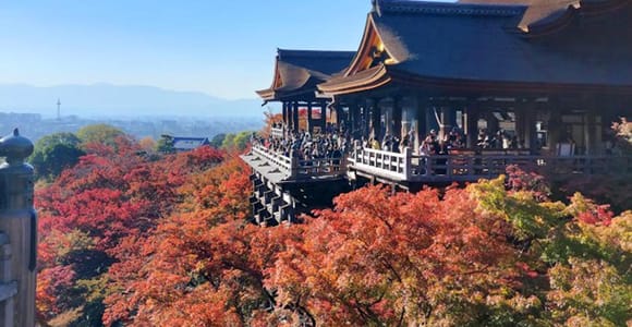 Kyoto: Private and Personalized Sightseeing Tour (Walking/Public Transportation)
