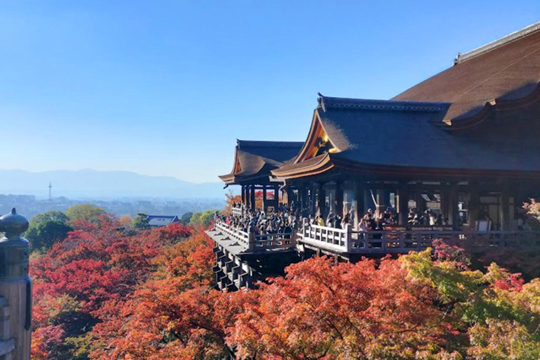 Kyoto: private and customized tour (walking/public transportation)4 hr guided tour