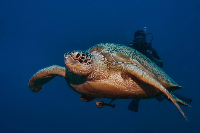 Gili Meno: Discover Scuba Diving for the first time