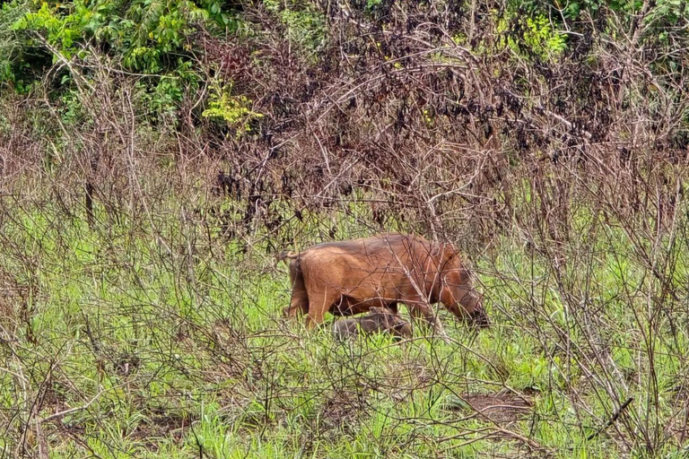 Diani: Guided day trip to Shimba Hills Reserve with lunch
