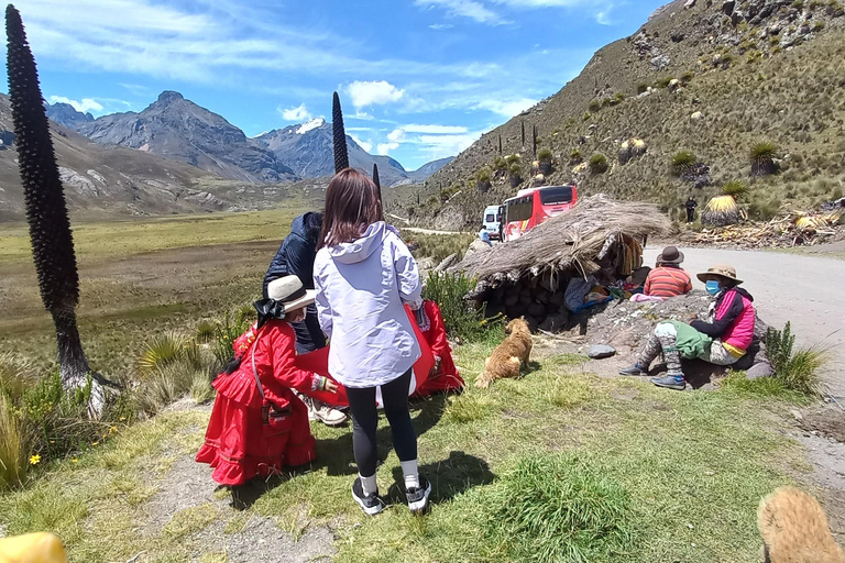 Depuis Huaraz : Excursion d&#039;une journée au glacier Pastoruri et au Puya Raymondi