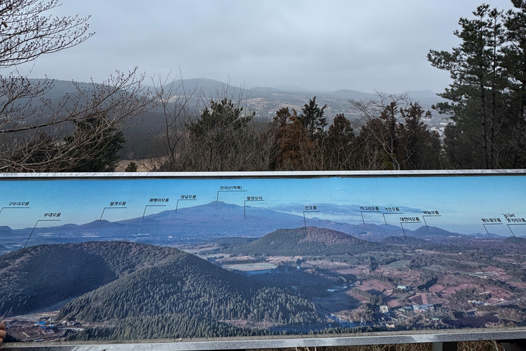 Jeju Geumun-oreum Volcanic Crater Hiking
