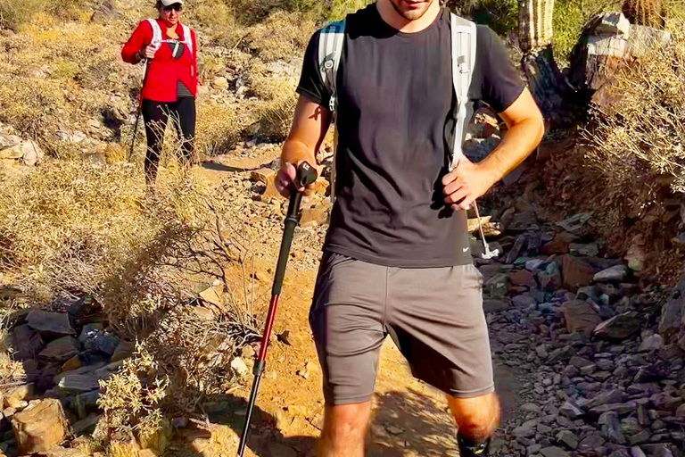 Caminhada guiada em família em Phoenix, Arizona | Crianças &lt;10 GRÁTIS!