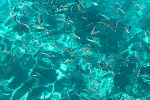 Kusadasi: Passeio de barco pelo Mar Egeu com almoço