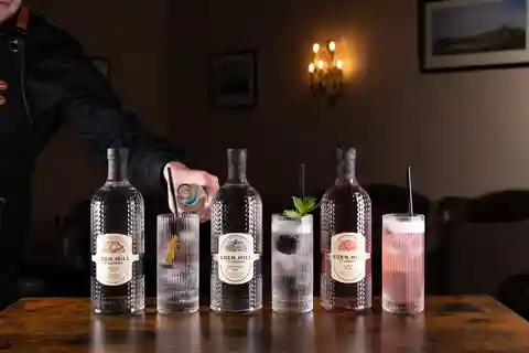 Dégustation de gin avec un service parfait
