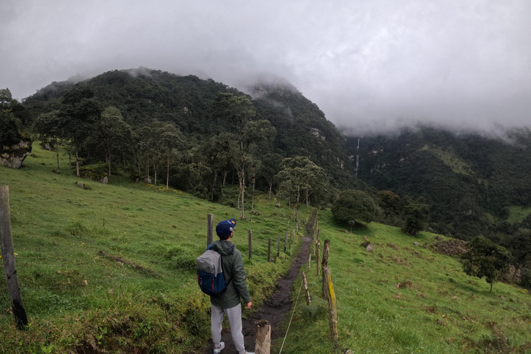 Bogotá: Private La Chorrera Waterfall Hike with Lunch