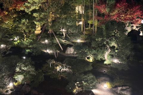 Kyoto : Geiko Maiko Dance of Kyoto & Visits of Gion Museum