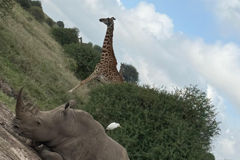 Nairobi National Park Guided Game Drive