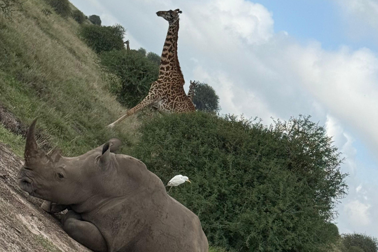 Nairobi National Park Guided Game Drive