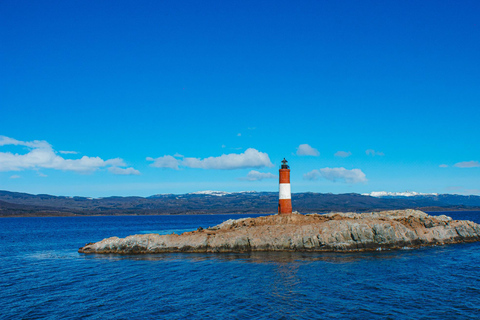 Ushuaia: Boat Trip to Isla Martillo: Penguins in the Beagle Channel Ushuaia: Navigation to Martillo Island: Penguins along the Beagle Channel