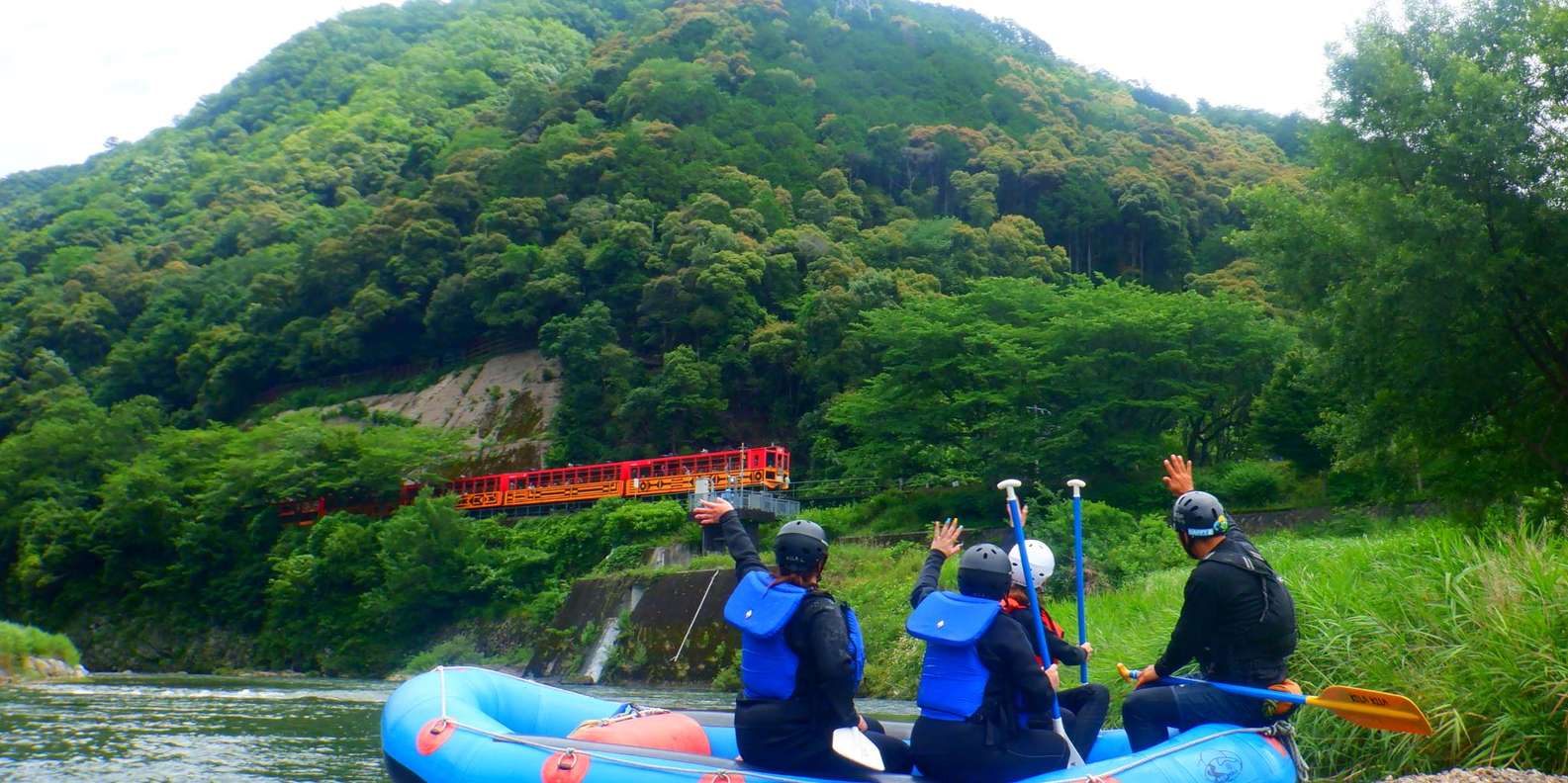 Kyoto experience — temples, geisha, bamboo grove — image 13