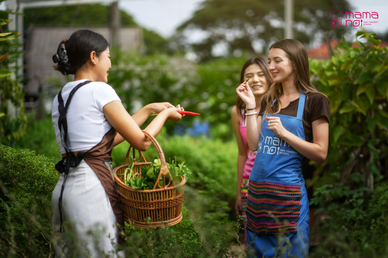 Chiang Mai: Cooking Class with Organic Farm at Mama NoiCooking Class without Air Conditioning