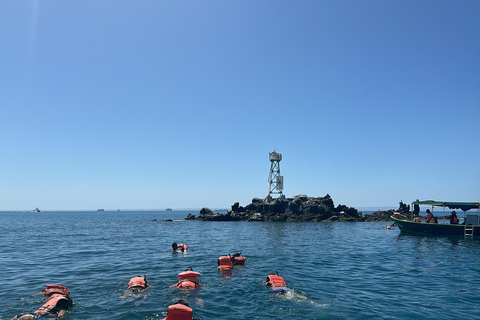La Paz: Espiritu Santo Island Tour