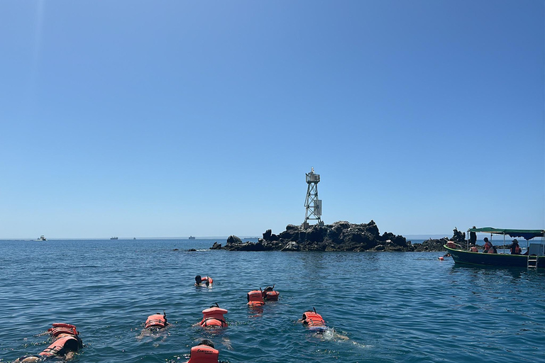 La Paz: Espiritu Santo Island Tour
