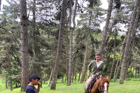 Baku: Excursão de 2 dias a Shamkir e Gadabay com hotel e refeições