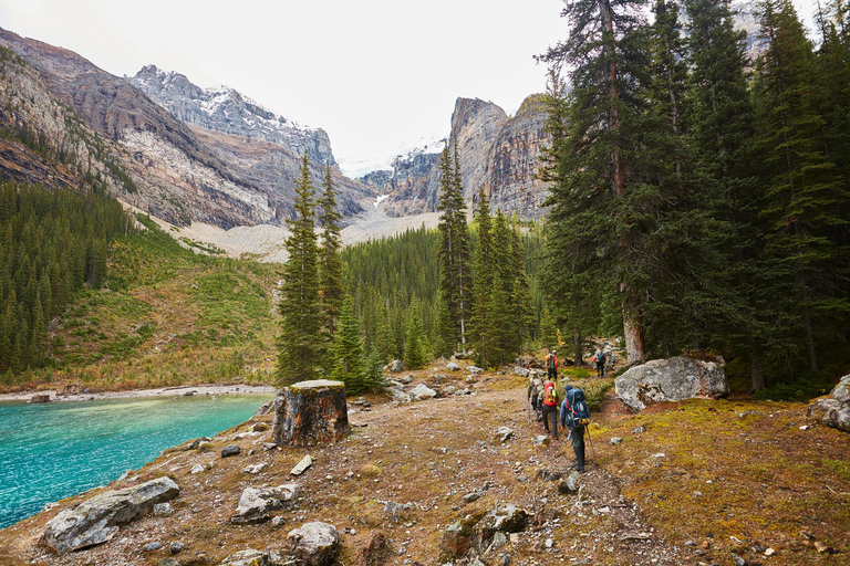 Lake Louise: Moraine & Louise Lake Half-Day Highlights Tour