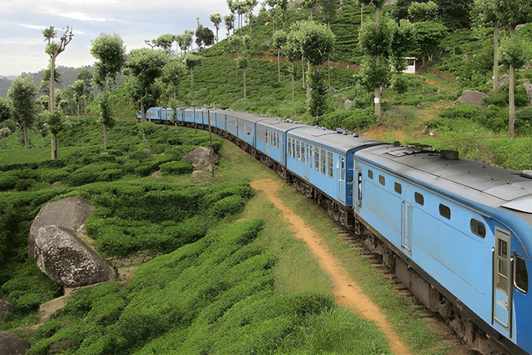 Ella to Ambewela Scenic Train Ride Ella to Ambewela train ride on (Train № 1005/1015)