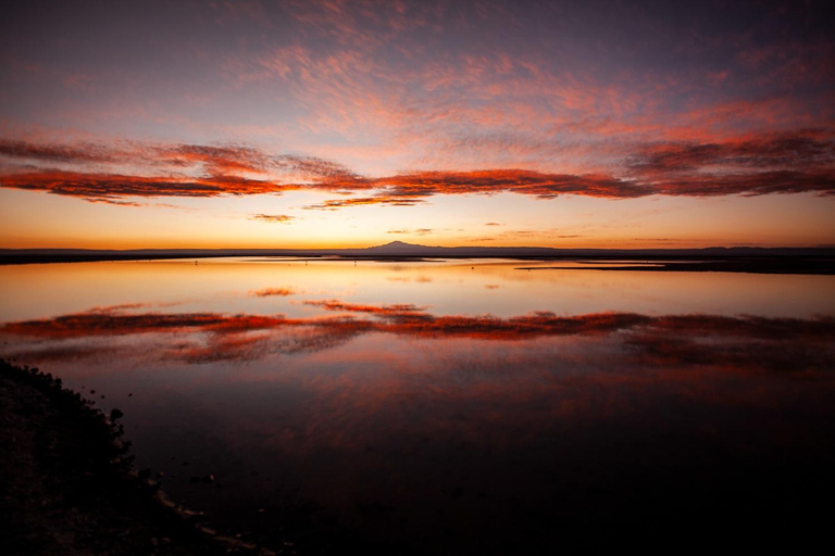 Driedubbele tour: Piedras Rojas + Altiplanic Lagoons + Chaxa Lagoon