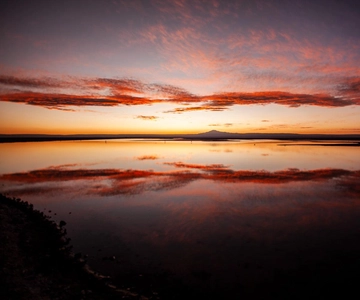 Triple Tour: Piedras Rojas + Altiplanic Lagoons + Chaxa Lagoon