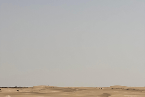 Agadir: Dunes & Beach ATV Quad Safari with Moroccan Tea Single Quad Bike