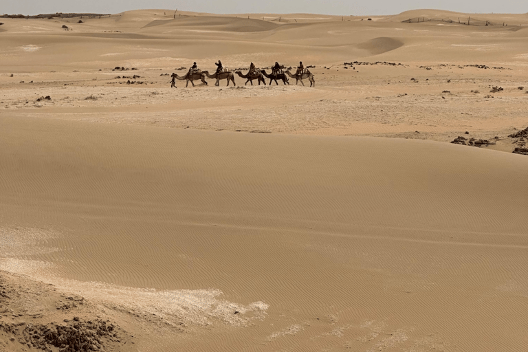 Agadir: Dunes & Beach ATV Quad Safari with Moroccan Tea Single Quad Bike