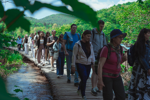Zadar : Visite guidée des lacs de Plitvice avec billets