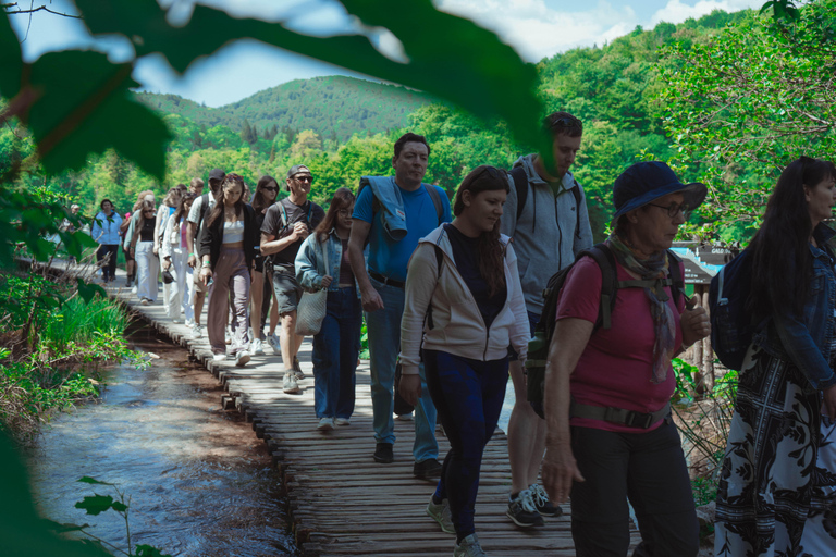 Zadar : Visite guidée des lacs de Plitvice avec billets