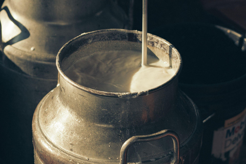 Martina Franca: Masseria Tour with Pasta & Mozzarella Class