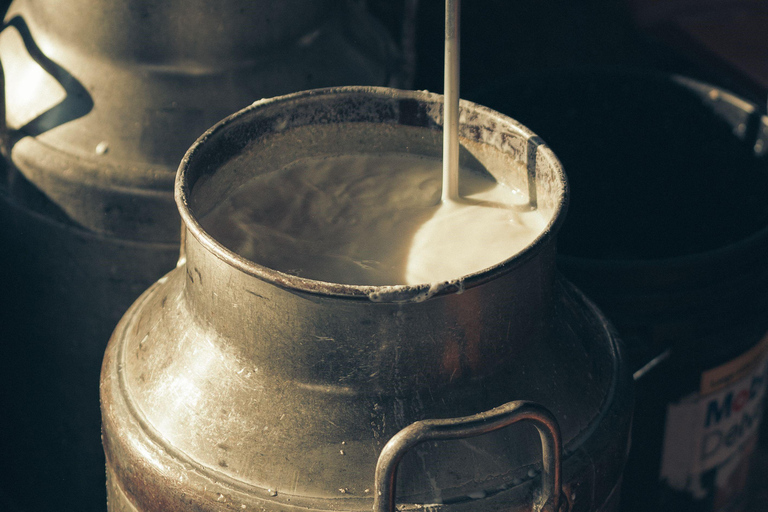 Martina Franca: Masseria Tour with Pasta & Mozzarella Class