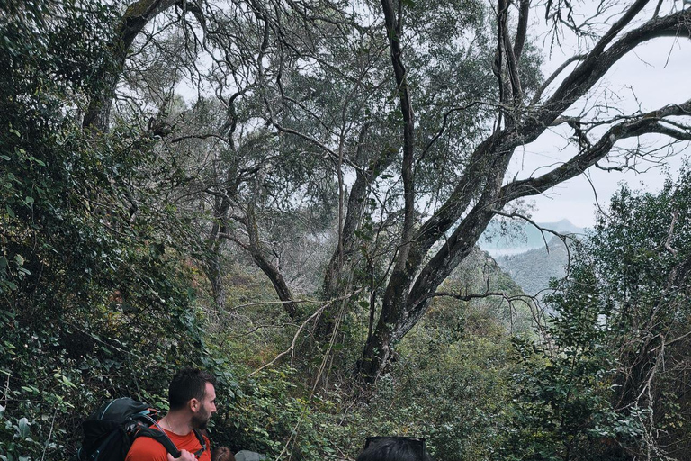Corfu: Guided Hiking Tour of Arkoudilas Beach and Forests