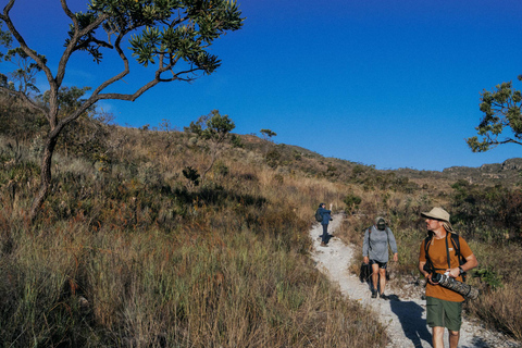 From São Paulo: 5-Day Serra da Canastra Wildlife Safari