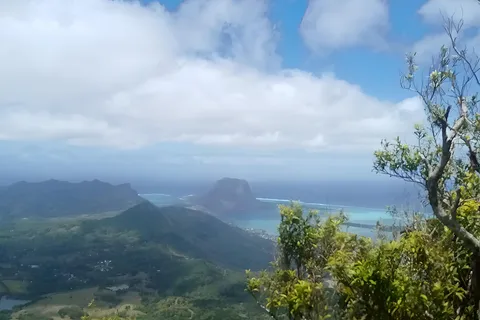 Mauritius: Piton de la Petite Rivière Noire Guidad vandring