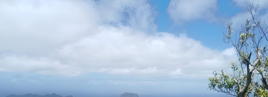 Maurice : Randonnée guidée du Piton de la Petite Rivière Noire