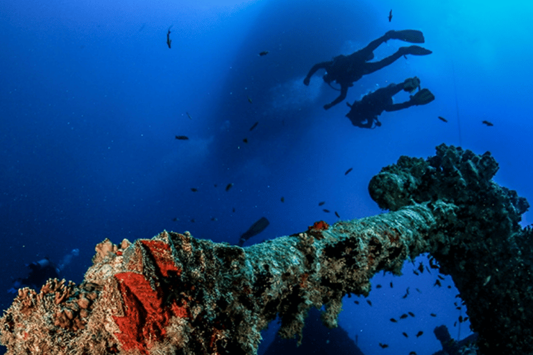 Sharm El-Sheikh: Beach Day & Intro Scuba Diving